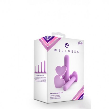 Conjunto 4 Dilatadores Vaginais Wellness Roxo